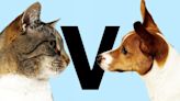 Cats vs dogs: which pet is better for your health?