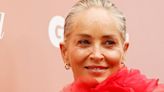 Sharon Stone Says She Hasn't Had Work Since Her 2001 Stroke