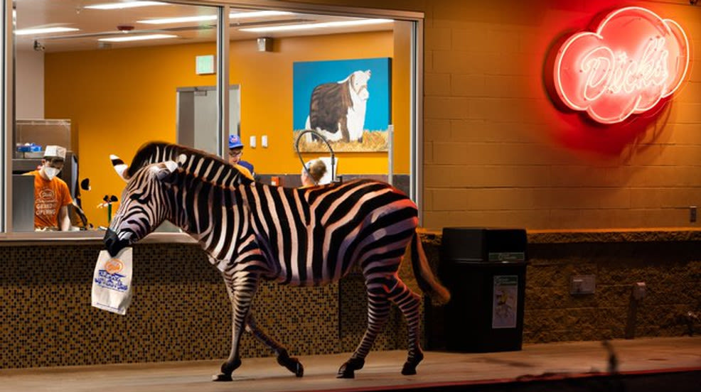 Internet earns its stripes: Jokes, memes spotted online about missing WA zebra