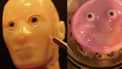 Scientists Attached Living, Lab-Grown Skin to a Robot's Face and It Looks Like It Craves the Sweet Release of Death