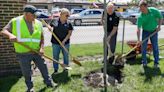 Crown Point makes tree-mendous effort for outdoor holiday