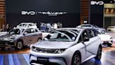 China's BYD slows down plans for EV factory in Vietnam, industrial park says