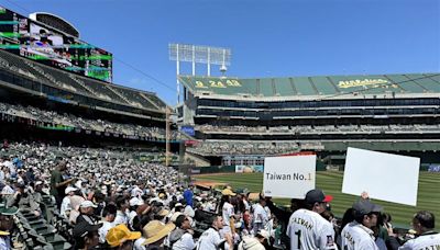 多圖／球場一片Taiwan海！MLB舊金山台灣日 蕭美琴讓國旗登上大螢幕