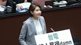 藍白提案凍漲電價！ 1小時舌戰轟民進黨：打人民劫、肥自己金庫