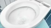 9 things you should never flush down the toilet
