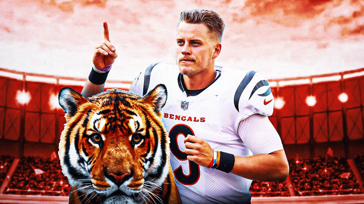 Bengals QB Joe Burrow makes promise that's a warning for rest of NFL