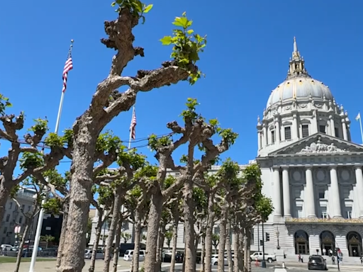 San Francisco stops flying "Appeal to Heaven" flag that landed Justice Alito in hot water