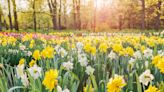 Everything you need to know about the spring equinox