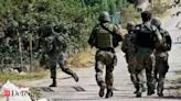 Terror reigns in Jammu: Rising terrorist attacks claim lives of 12 soldiers in July alone - The Economic Times