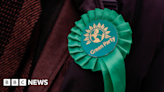Green Party investigating candidates before election deadline