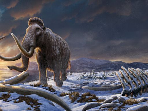 The Last Stand of the Woolly Mammoths