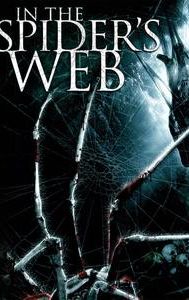 In the Spider's Web