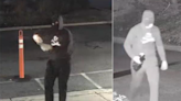 Police searching for suspect who threw Molotov cocktail at New Jersey synagogue, officials say