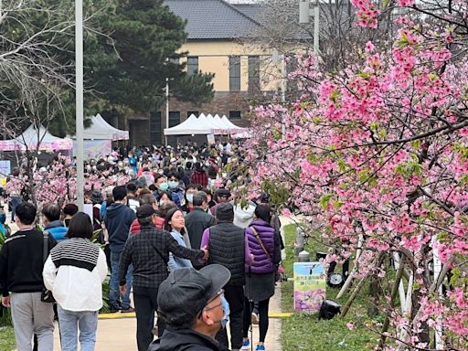 竹市最強人氣景點 新竹公園逾395萬人次造訪