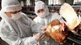 La OMS confirma el primer caso humano mortal de gripe aviar A(H5N2) en México