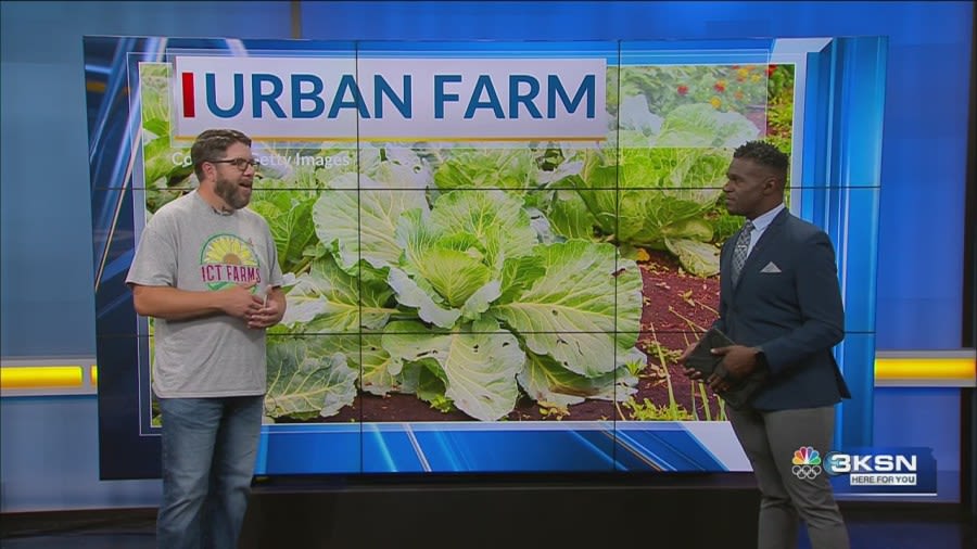 New urban farm being installed in downtown Wichita