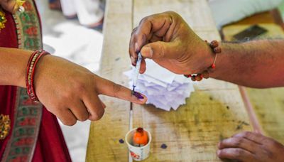 Lok Sabha polls: Winning margins and number of big winners fell in 2024, notes ADR report