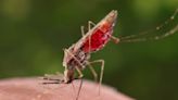 US health officials brace for mosquito-borne virus that can cause paralysis and death as temperatures rise
