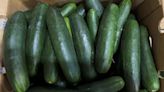 Cucumbers recalled in 14 states due to salmonella risk