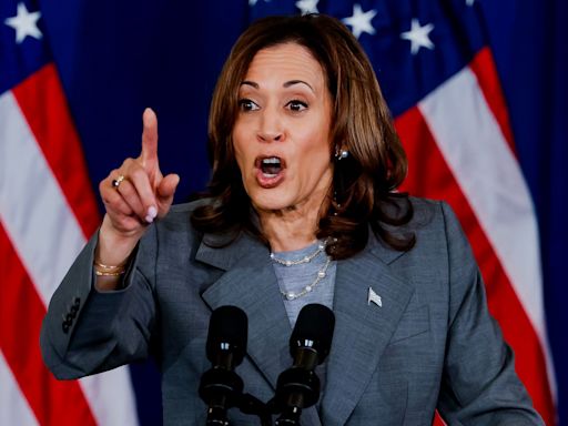 Coconut tree jokes and a love of Venn diagrams: Kamala Harris’s strangest soundbites