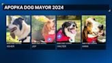 Will bark for votes: Apopka dog mayor election begins