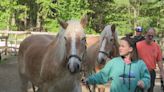 Blind horses rescued from slaughterhouse find sanctuary in Massachusetts