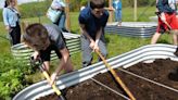 Northstar MS celebrates WI School Garden Day by cultivating, planting in their garden