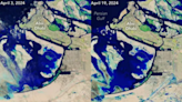 NASA satellite shows before and after images of the historic U.A.E. floods; See pics