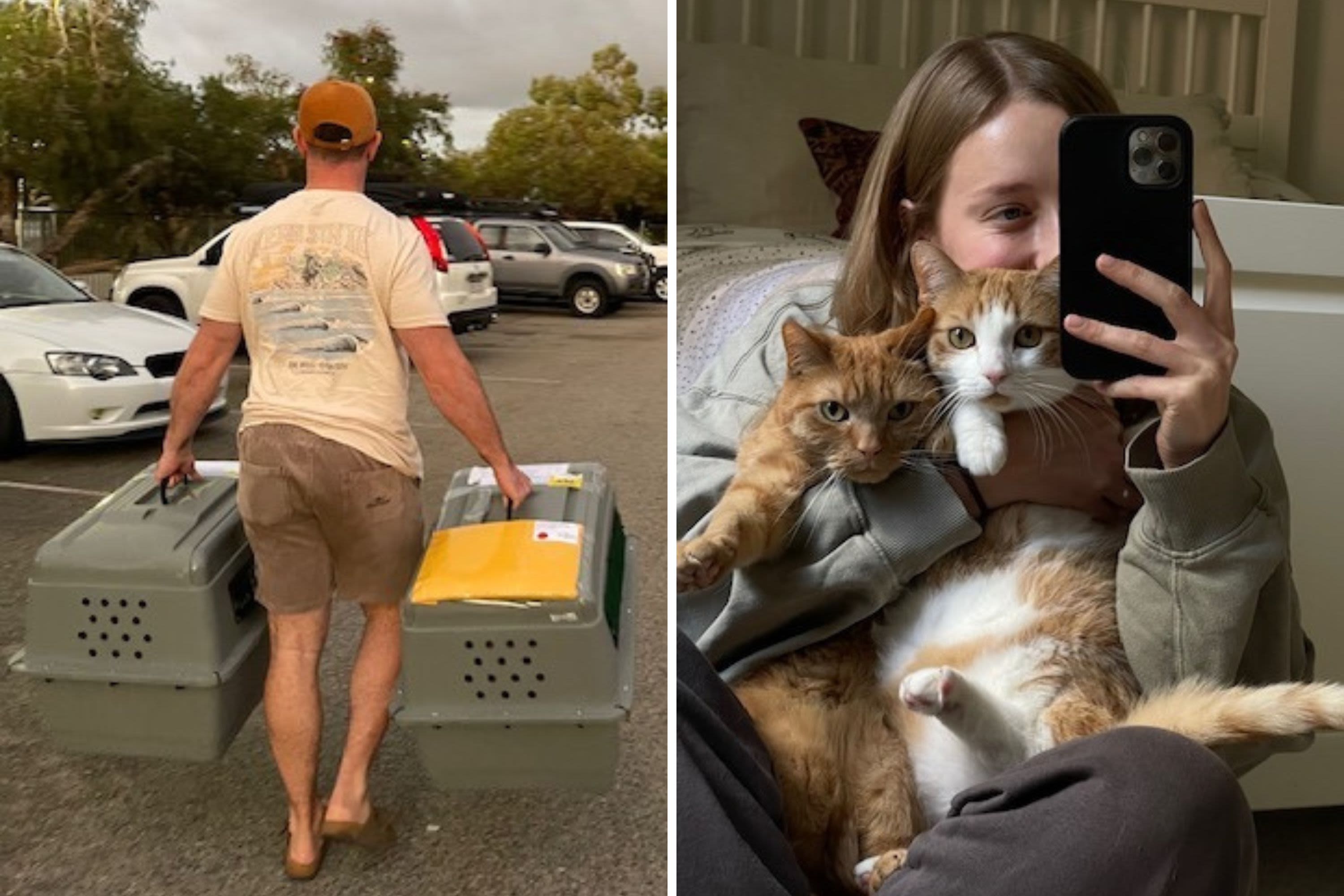 Moment couple who moved across world reunites with cats two years later