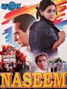 Naseem (film)