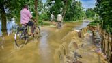 Assam flood toll swells to 46 as eight more dead, 80% of Kaziranga park submerged