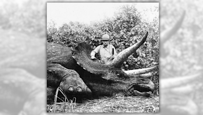 Fact Check: Theodore Roosevelt Supposedly Posed for Photo with Last Known Triceratops. Here Are the Facts