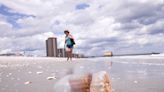 Here’s what to do if you find a jellyfish, starfish or octopus on a SC beach, DNR expert says