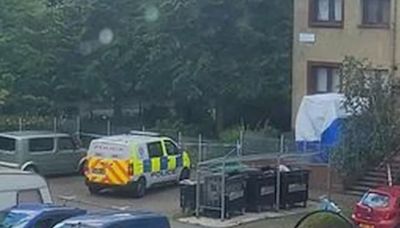 Man in critical condition after 'falling from window' at Edinburgh flats