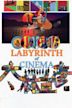 Labyrinth of Cinema