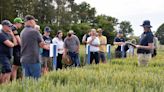 Amazing farm science and crop innovations go under the microscope at field day