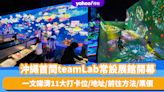 日本旅遊｜沖繩首間teamLab常設展館開幕！一文睇清11大打卡位／地址／前往方法／票價