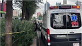 Hallan cuerpo entre matorrales de avenida Chapultepec en CDMX