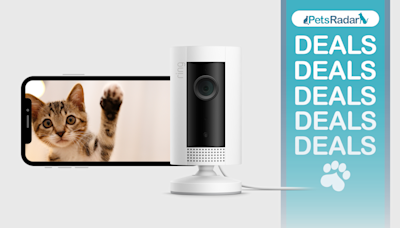 This camera lets you talk to your pet from anywhere in the world – and it’s 50% off this Amazon Prime Day