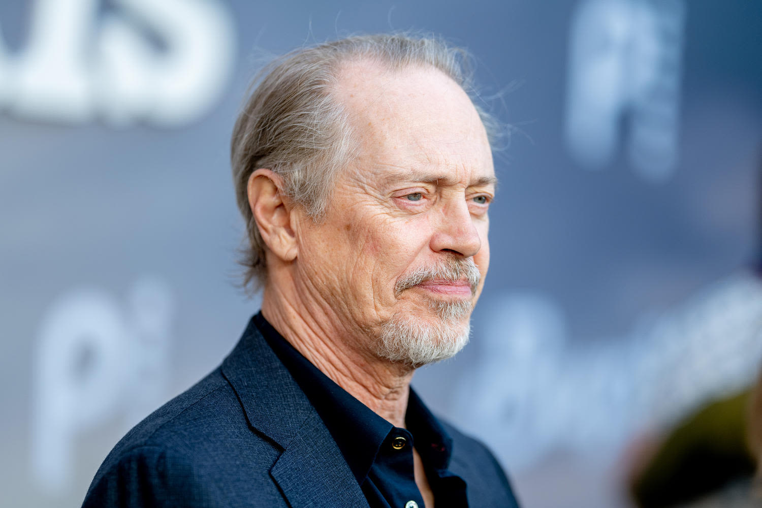Steve Buscemi punched while walking in New York City