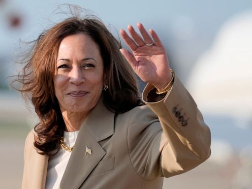 Kamala Harris Shook Up Politics in a Week. But Can She Win?