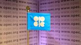 OPEC’s oil cuts force the US to reconsider its foreign policy