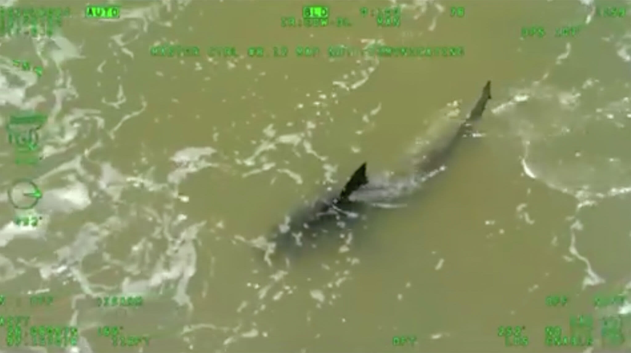 Hurricane Beryl may have brought sharks near South Padre before attacks