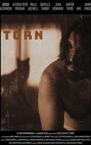 Torn | Drama, Thriller