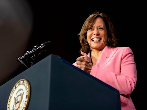 The race between Kamala Harris and Donald Trump will be waged and won over abortion. Pick a fighter. | Opinion