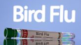 Former director of the CDC predicts the next pandemic will be from bird flu