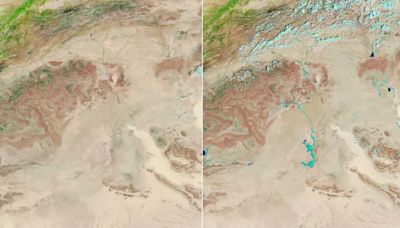 Sahara Desert is turning from arid yellow to lush green. NASA captures this rare transformation