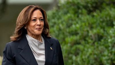 Kamala Harris: Did Netflix Donate to Her Campaign? Cancel Controversy Explained