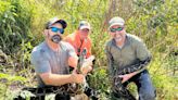 My python hunting experience: How we found a needle in a haystack and pounced on snake