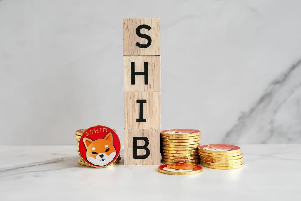 Shiba Inu whale nets $3.2M, new Telegram bot token offers another opportunity | Invezz